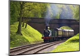 Steam Train on Bluebell Railway, Horsted Keynes, West Sussex, England, United Kingdom, Europe-Neil Farrin-Mounted Photographic Print