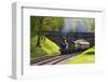 Steam Train on Bluebell Railway, Horsted Keynes, West Sussex, England, United Kingdom, Europe-Neil Farrin-Framed Premium Photographic Print