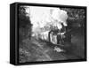 Steam Train on the Southern Region Nr-null-Framed Stretched Canvas