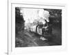 Steam Train on the Southern Region Nr-null-Framed Photographic Print