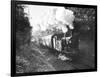 Steam Train on the Southern Region Nr-null-Framed Photographic Print