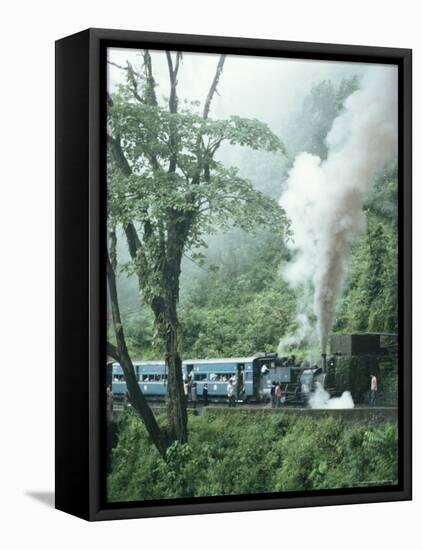 Steam Train on the Way to Darjeeling, West Bengal State, India, Asia-Sybil Sassoon-Framed Stretched Canvas
