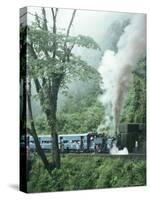 Steam Train on the Way to Darjeeling, West Bengal State, India, Asia-Sybil Sassoon-Stretched Canvas