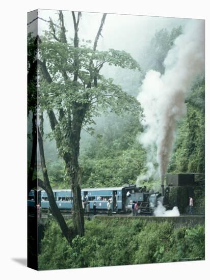 Steam Train on the Way to Darjeeling, West Bengal State, India, Asia-Sybil Sassoon-Stretched Canvas