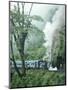 Steam Train on the Way to Darjeeling, West Bengal State, India, Asia-Sybil Sassoon-Mounted Photographic Print