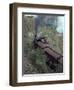 Steam Train on the Way to Darjeeling, West Bengal State, India, Asia-Sybil Sassoon-Framed Photographic Print