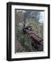 Steam Train on the Way to Darjeeling, West Bengal State, India, Asia-Sybil Sassoon-Framed Photographic Print