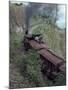 Steam Train on the Way to Darjeeling, West Bengal State, India, Asia-Sybil Sassoon-Mounted Photographic Print