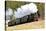 Steam Train, Steinbach - Johstadt, Germany-phbcz-Stretched Canvas