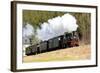 Steam Train, Steinbach - Johstadt, Germany-phbcz-Framed Photographic Print