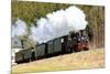 Steam Train, Steinbach - Johstadt, Germany-phbcz-Mounted Photographic Print