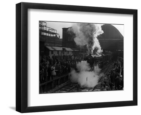 Premium Photographic Print, , large