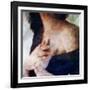 Steam-Gideon Ansell-Framed Photographic Print