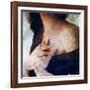 Steam-Gideon Ansell-Framed Photographic Print