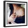 Steam-Gideon Ansell-Framed Photographic Print