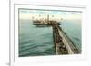 Steamboat at Dreamland Pier, Coney Island, New York City-null-Framed Premium Giclee Print