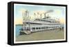 Steamboat Docked at Quincy, Illinois-null-Framed Stretched Canvas