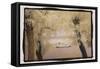 Steamboat, Lake Canandaigua-Theo Westenberger-Framed Stretched Canvas