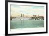 Steamboat Landing, Albany, New York-null-Framed Premium Giclee Print