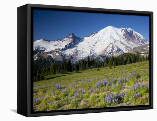 Steamboat Prow Formation, Mount Rainier National Park, Washington, USA-Jamie & Judy Wild-Framed Stretched Canvas