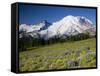 Steamboat Prow Formation, Mount Rainier National Park, Washington, USA-Jamie & Judy Wild-Framed Stretched Canvas