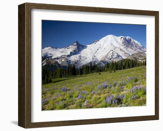 Steamboat Prow Formation, Mount Rainier National Park, Washington, USA-Jamie & Judy Wild-Framed Premium Photographic Print