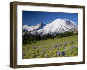 Steamboat Prow Formation, Mount Rainier National Park, Washington, USA-Jamie & Judy Wild-Framed Premium Photographic Print