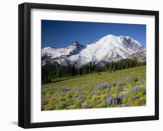 Steamboat Prow Formation, Mount Rainier National Park, Washington, USA-Jamie & Judy Wild-Framed Premium Photographic Print