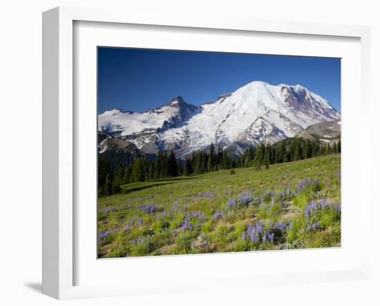 Steamboat Prow Formation, Mount Rainier National Park, Washington, USA-Jamie & Judy Wild-Framed Premium Photographic Print