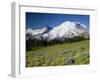 Steamboat Prow Formation, Mount Rainier National Park, Washington, USA-Jamie & Judy Wild-Framed Premium Photographic Print