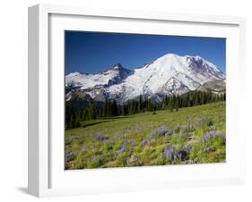 Steamboat Prow Formation, Mount Rainier National Park, Washington, USA-Jamie & Judy Wild-Framed Premium Photographic Print