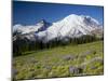 Steamboat Prow Formation, Mount Rainier National Park, Washington, USA-Jamie & Judy Wild-Mounted Premium Photographic Print