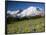 Steamboat Prow Formation, Mount Rainier National Park, Washington, USA-Jamie & Judy Wild-Framed Photographic Print