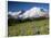 Steamboat Prow Formation, Mount Rainier National Park, Washington, USA-Jamie & Judy Wild-Framed Photographic Print