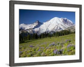 Steamboat Prow Formation, Mount Rainier National Park, Washington, USA-Jamie & Judy Wild-Framed Photographic Print