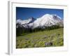 Steamboat Prow Formation, Mount Rainier National Park, Washington, USA-Jamie & Judy Wild-Framed Photographic Print