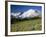 Steamboat Prow Formation, Mount Rainier National Park, Washington, USA-Jamie & Judy Wild-Framed Photographic Print