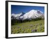 Steamboat Prow Formation, Mount Rainier National Park, Washington, USA-Jamie & Judy Wild-Framed Photographic Print