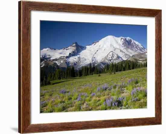 Steamboat Prow Formation, Mount Rainier National Park, Washington, USA-Jamie & Judy Wild-Framed Photographic Print