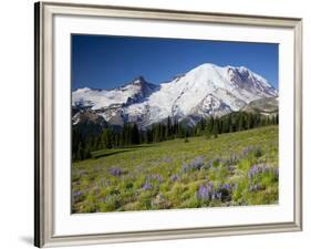 Steamboat Prow Formation, Mount Rainier National Park, Washington, USA-Jamie & Judy Wild-Framed Photographic Print