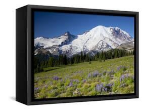 Steamboat Prow Formation, Mount Rainier National Park, Washington, USA-Jamie & Judy Wild-Framed Stretched Canvas