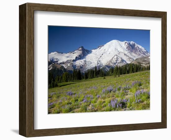 Steamboat Prow Formation, Mount Rainier National Park, Washington, USA-Jamie & Judy Wild-Framed Photographic Print