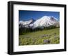 Steamboat Prow Formation, Mount Rainier National Park, Washington, USA-Jamie & Judy Wild-Framed Photographic Print