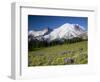 Steamboat Prow Formation, Mount Rainier National Park, Washington, USA-Jamie & Judy Wild-Framed Photographic Print