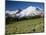 Steamboat Prow Formation, Mount Rainier National Park, Washington, USA-Jamie & Judy Wild-Mounted Photographic Print