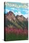 Steamboat Springs, CO - Mountain Scene-Lantern Press-Stretched Canvas