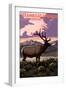 Steamboat Springs, Colorado - Elk and Sunset-Lantern Press-Framed Art Print