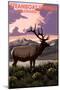 Steamboat Springs, Colorado - Elk and Sunset-Lantern Press-Mounted Art Print