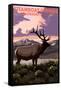 Steamboat Springs, Colorado - Elk and Sunset-Lantern Press-Framed Stretched Canvas