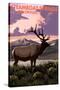 Steamboat Springs, Colorado - Elk and Sunset-Lantern Press-Stretched Canvas